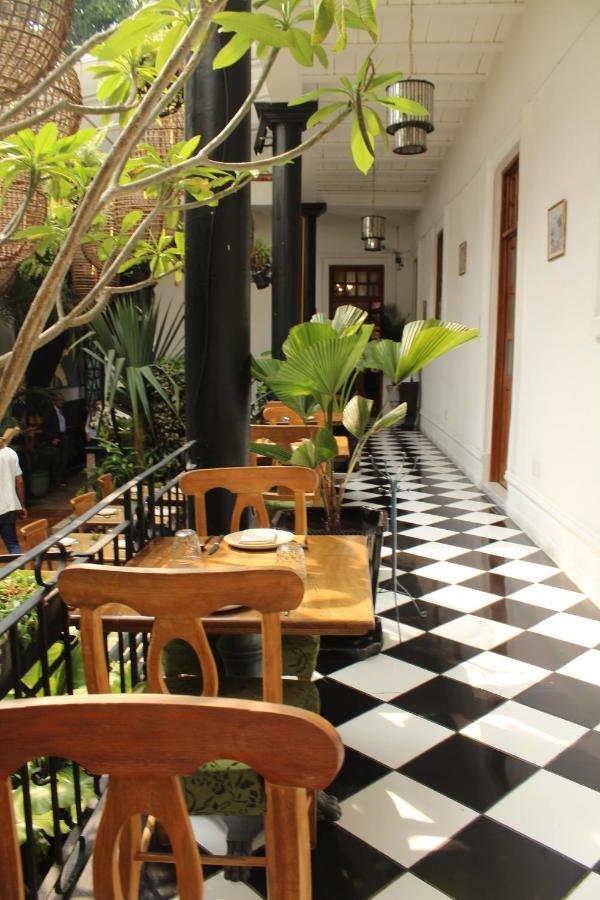 墨西哥城 Galanga Thai House酒店 外观 照片
