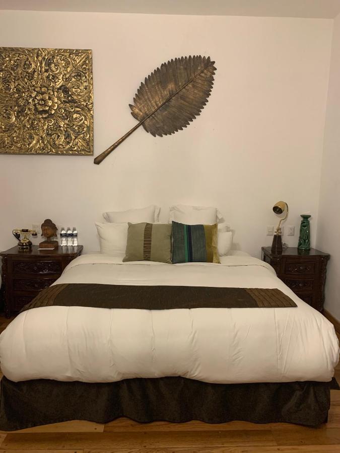 墨西哥城 Galanga Thai House酒店 外观 照片
